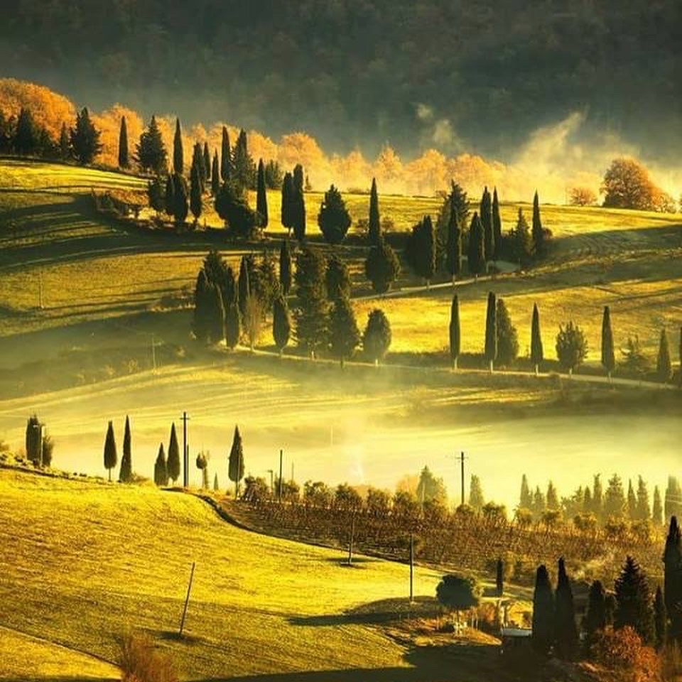 Succession en Italie – Toscane